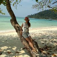 Отзыв от Алла - виза ДТВ